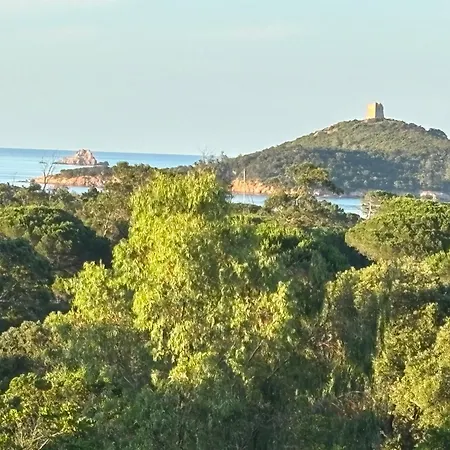 Domaine Les Hauts De Capicciola Pinarellu