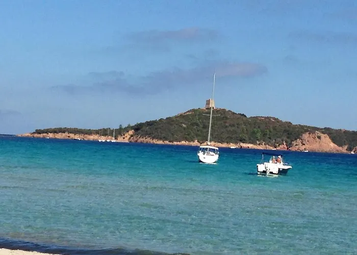 Domaine Les Hauts De Capicciola * Pinarellu